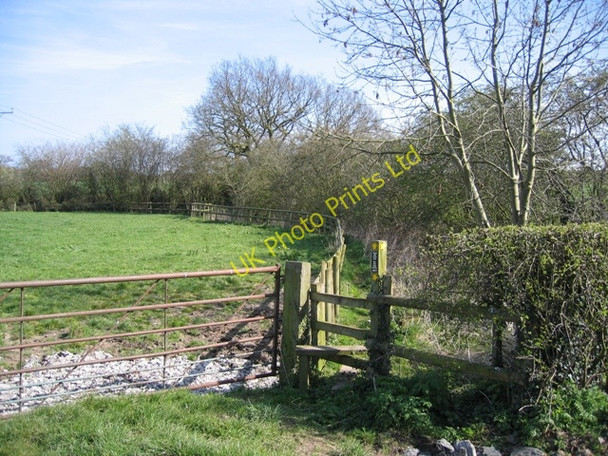 Photo 6"x4" Footpath near Iddinshall Rough Birch Heath c2007