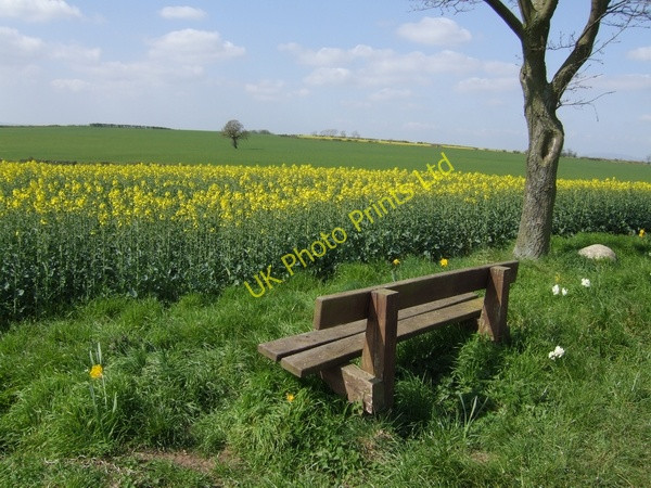 Photo 6"x4" Pleasant seat Chesterton\/SO7897 c2007