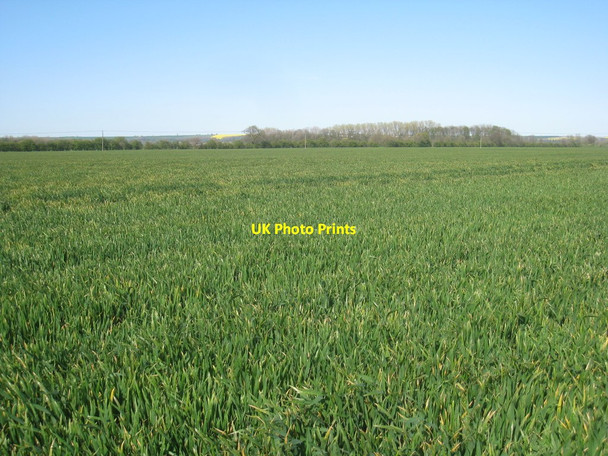 Photo 6"x4" Broughton Carrs (2) Brigg c2012