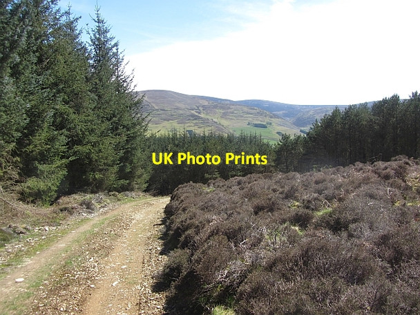 Photo 6"x4" Old Drove Road, Hallmanor Glenrath c2012