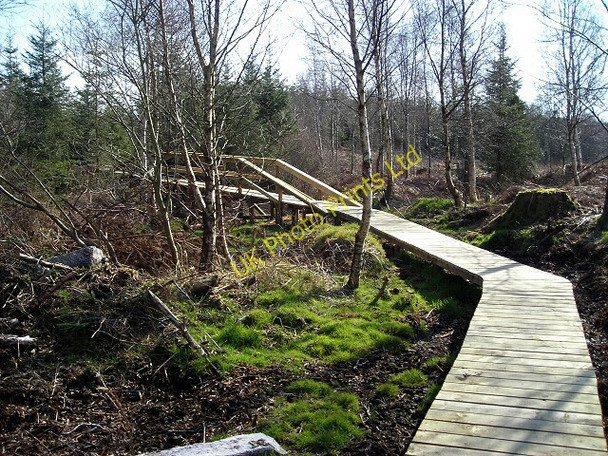 Photo 6"x4" Cycle Trail in Dalbeattie Forest Palnackie c2007