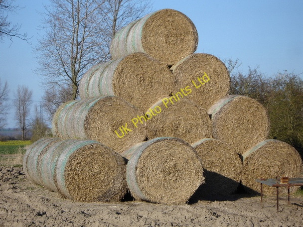 Photo 6"x4" Stack of round haybales Newchurch\/TR0531 c2007