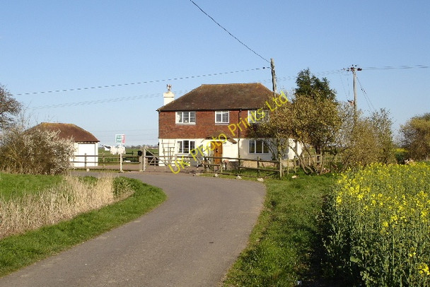 Photo 6"x4" Golding Cottage Ivychurch c2007