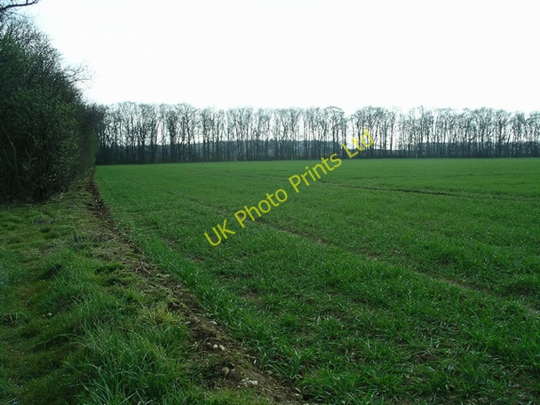 Photo 6"x4" Across the field Broughton\/SE9608 c2007