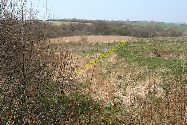 Photo 6"x4" Molland: West Moor Knowstone c2007