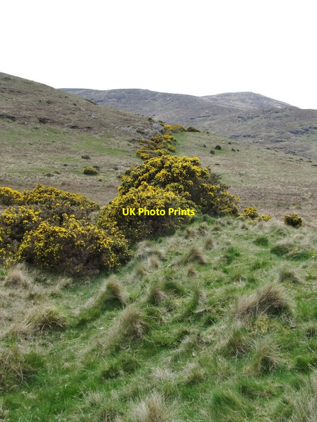 Photo 6"x4" A whin field boundary above the Spinkwee valley Newcastle\/J3732 c2012
