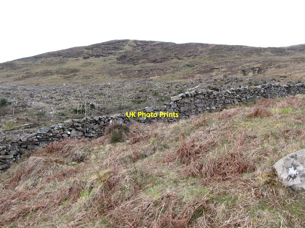 Photo 6"x4" The mountain wall of the Tollymore Estate Newcastle\/J3732 c2012