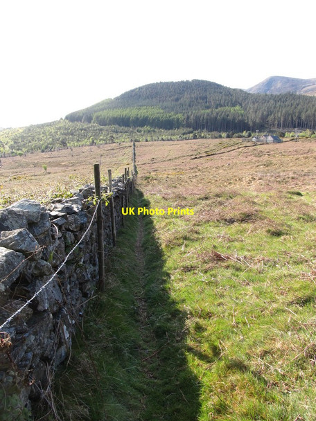 Photo 6"x4" Stone wall and path linking Curraghard and Drinnahilly mountains Newcastle\/J3732 c2012