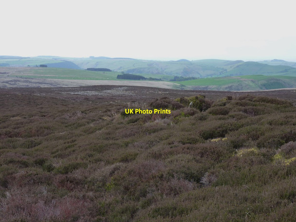 Photo 6"x4" Remains of a grouse butt on Bryn Du Blaen-y-cwm\/SJ1437 c2012