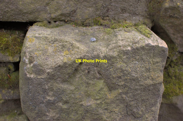 Photo 6"x4" Rivet Bench Mark, Cemetery Road Wall Yeadon c2012