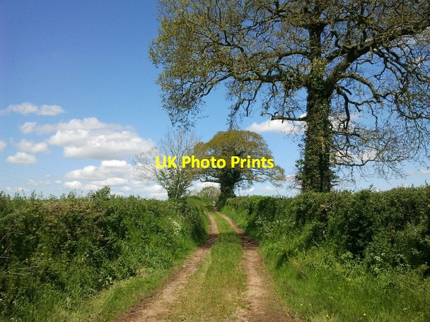 Photo 6"x4" Green lane near Aunk Aunk c2012