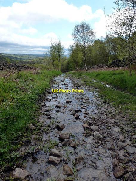 Photo 6"x4" Car Road Unthank\/SK3076 c2012