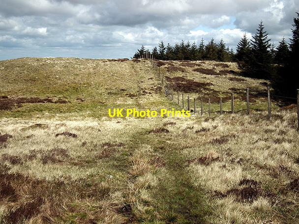 Photo 6"x4" Looking back on the path to Y Garn Y Garn\/SN7785 c2012