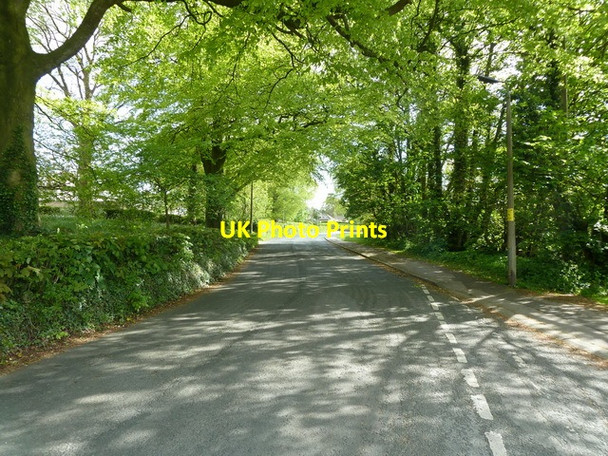 Photo 6"x4" Shady Lane, Hest Bank Hest Bank c2012