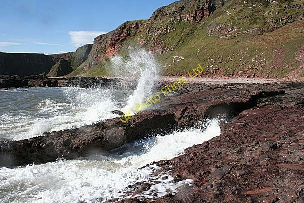 Photo 6"x4" Cuthile Harbour Auchmithie c2007 P1