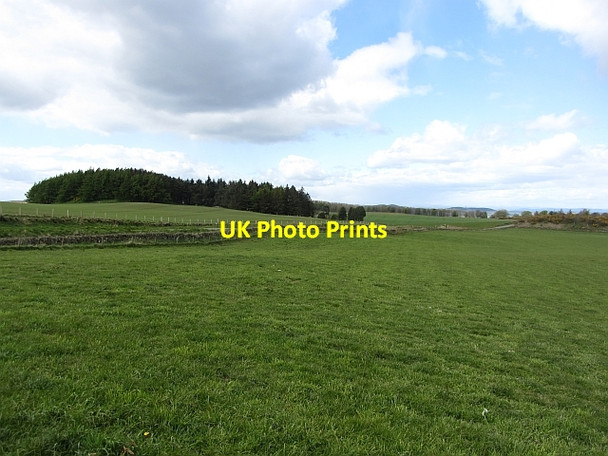 Photo 6"x4" Grass fields by Clatto Coaltown of Burnturk c2012