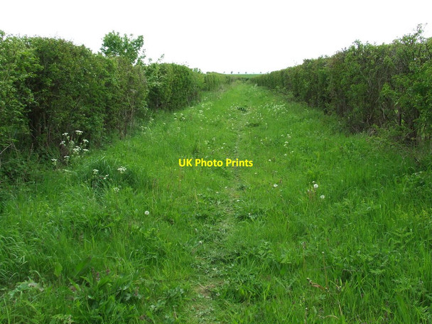 Photo 6"x4" Green Footpath Upend c2012