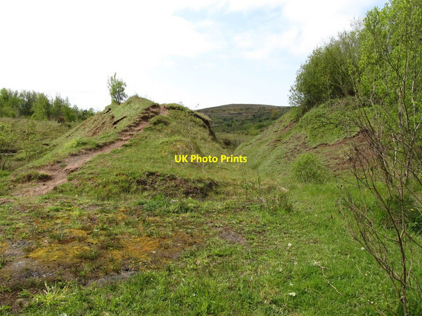Photo 6"x4" Old clay pits on the western edge of Colin Glen Park Dunmurry c2012