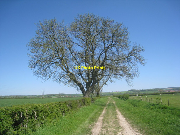 Photo 6"x4" Westends Lane Thornton-le-Dale c2012