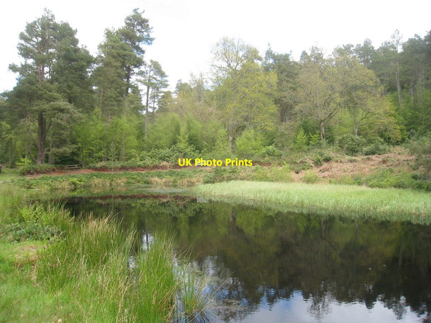 Photo 6"x4" The Tarn, Cragside Knocklaw c2012