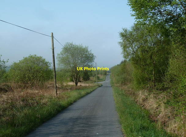 Photo 6"x4" Forest lane in the upper Marteg valley Bwlch-y-sarnau c2012