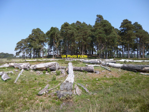 Photo 6"x4" Cranes Moor, timber Burley Beacon c2012