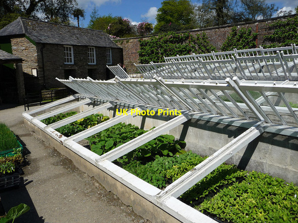 Photo 6"x4" Gardens of Heligan Kestle\/SW9945 c2012