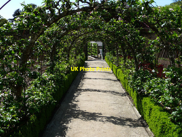 Photo 6"x4" Gardens of Heligan Kestle\/SW9945 c2012