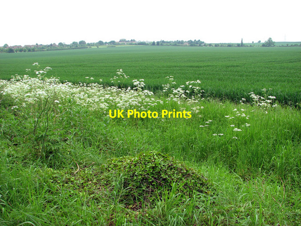 Photo 6"x4" Cultivated fields north of Cadenham Road Swaffham Prior c2012
