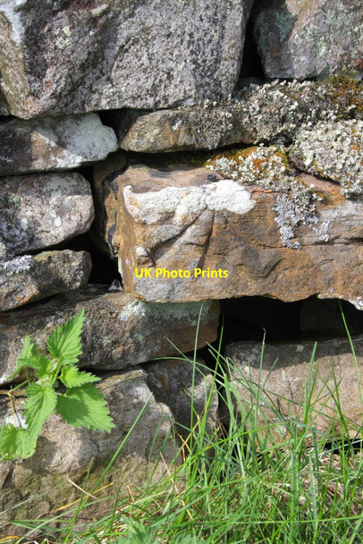 Photo 6"x4" Benchmark on roadside wall above Nethergill Oughtershaw c2012