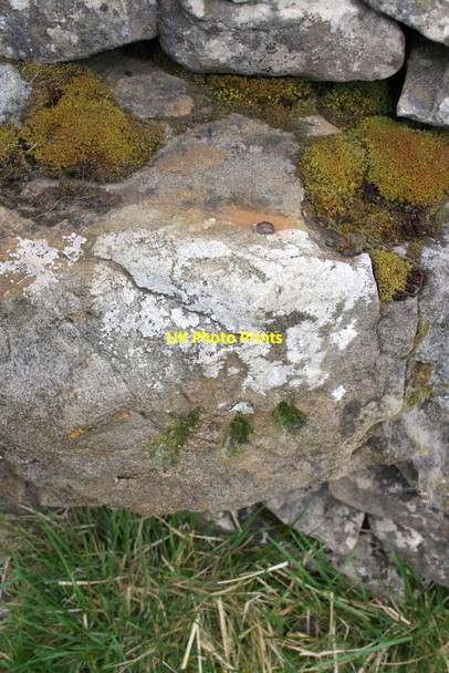 Photo 6"x4" Benchmark on roadside wall NE of Long Slack Gate Oughtershaw c2012