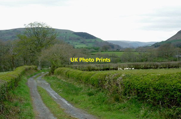 Photo 6"x4" Farm track north-east of Newbridge, Powys Disserth c2012
