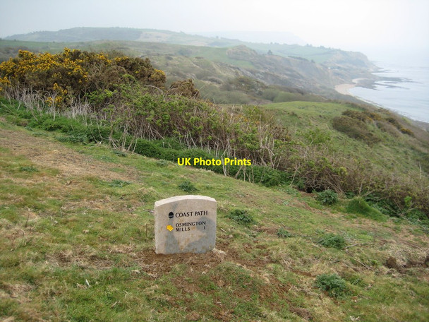 Photo 6"x4" The coast path near Osmington Osmington c2012