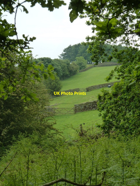 Photo 6"x4" Fields south of Cocking Tor Ashover Hay c2012
