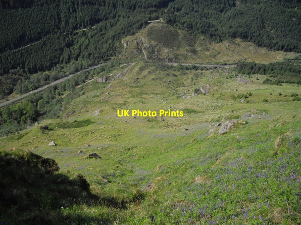 Photo 6"x4" Steep hillside Ardgartan c2012