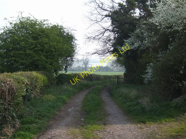 Photo 6"x4" Farm track to Littywood Bradley\/SJ8817 c2007