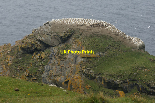 Photo 6"x4" Clingera Stack, Hermaness Clingra Stack c2012