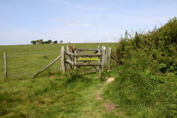Photo 6"x4" Gate to a field Exceat c2012