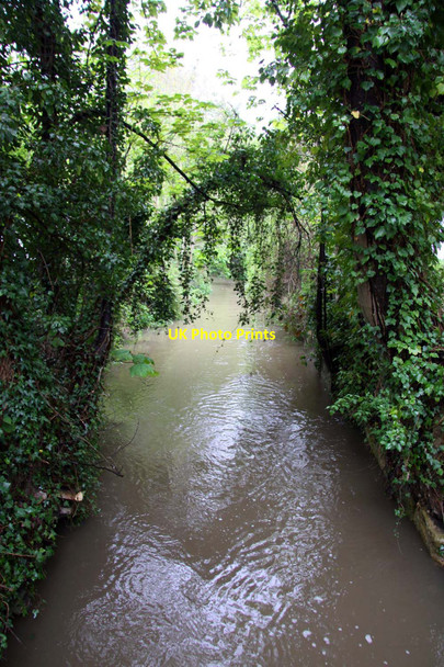 Photo 6"x4" The River Pang in Pangbourne Pangbourne c2012