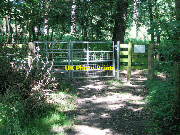 Photo 6"x4" Gate into Dunwich Forest Dunwich c2012
