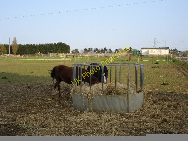 Photo 6"x4" Stud Farm Shalmsford Street c2007