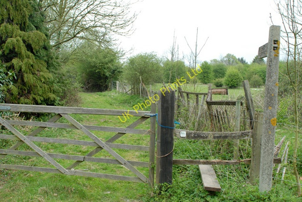 Photo 6"x4" Footpath north from Epping Road, Halls Green Halls Green c2007