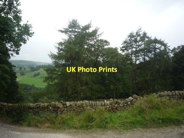 Photo 6"x4" Towards Spring Wood Wath\/SE1467 c2009