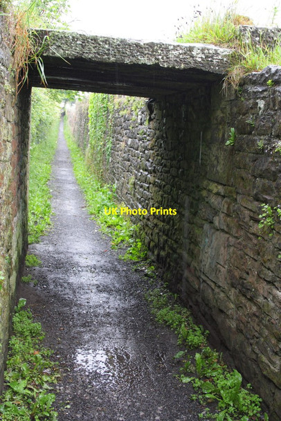 Photo 6"x4" Pigeonwell Lonning Maryport\/NY0336 c2012