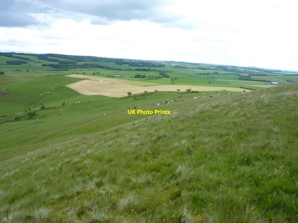 Photo 6"x4" NE slopes of Largo Law hill Kirkton of Largo or Upper Largo c2012