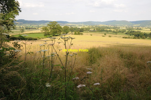 Photo 6"x4" Arable land at New Radnor Downton\/SO2360 c2012
