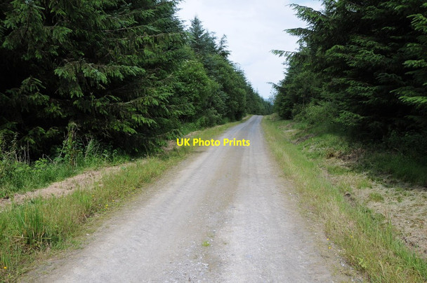 Photo 6"x4" Ednol Hill Cascob c2012