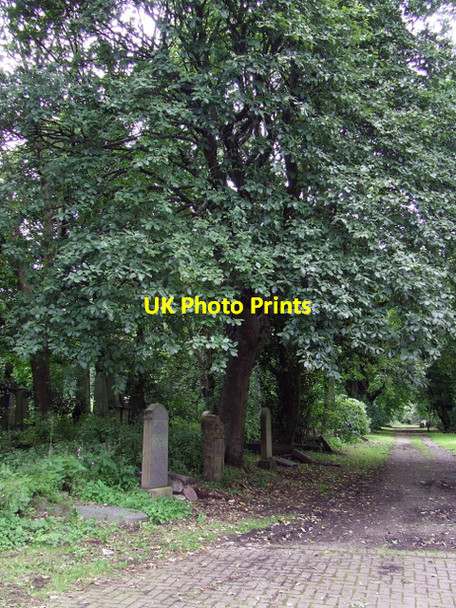 Photo 6"x4" Dalry Cemetery Dalry\/NT2372 c2012