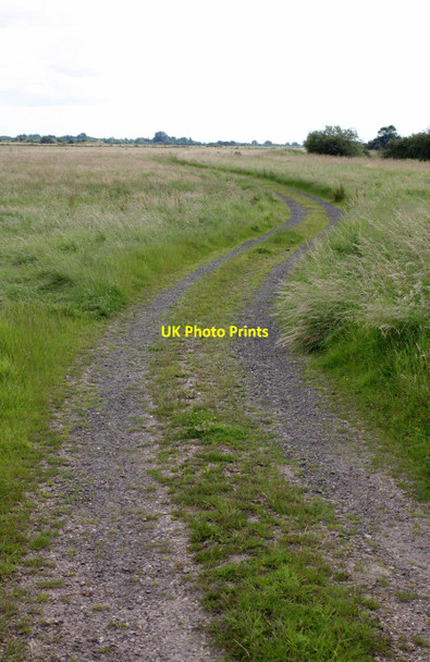 Photo 6"x4" Track onto Smithy Marsh  Girton\/SK8266 c2012