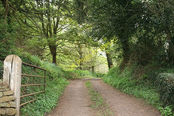 Photo 6"x4" Morchard Bishop: entrance to Venn Farm Carrhouse c2007